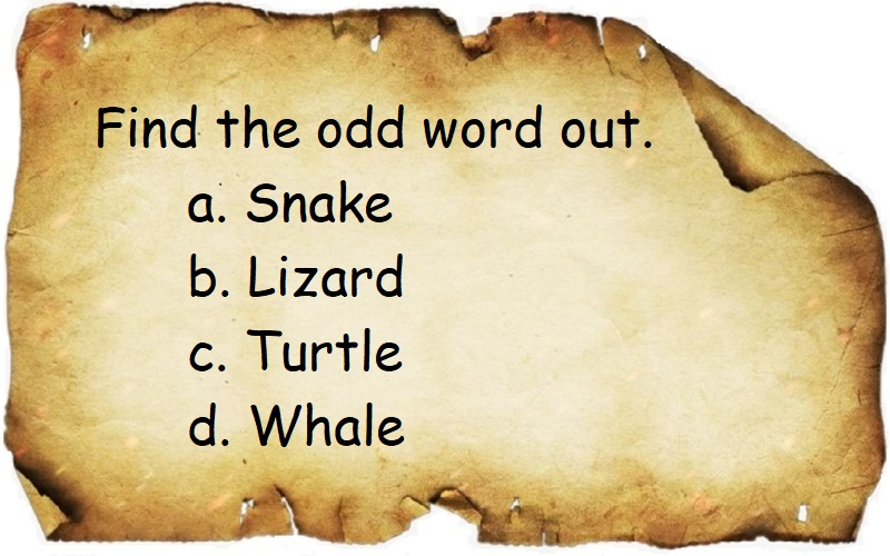 Find the odd word out puzzle featuring snake, lizard, turtle, and whale, ideal for brain teaser enthusiasts.