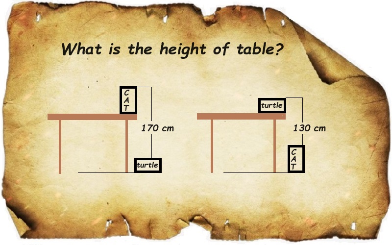 Cat, turtle, table height problem riddle. (Q80) – Brain Teaser Questions